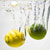 The Master Cleanser Or Lemonade Diet - Detoxicate Your Body