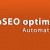 New Project! wpSEO - Professional Plugin For Search Engine Optimization In WordPress