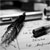 7 Insightful Tips To Improve And Raise The Quality And Readership Of Your Blog